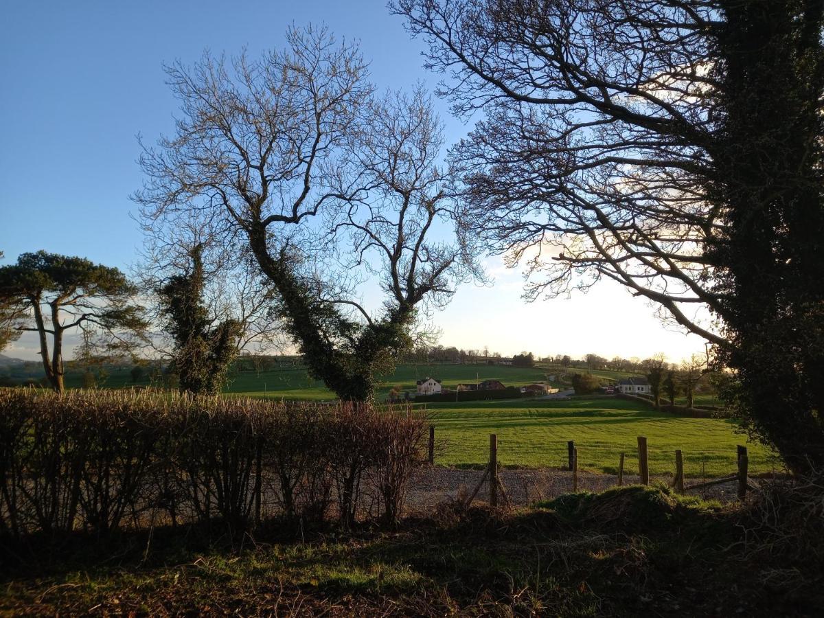 Derrywilligan Guest Accommodation Bessbrook Экстерьер фото